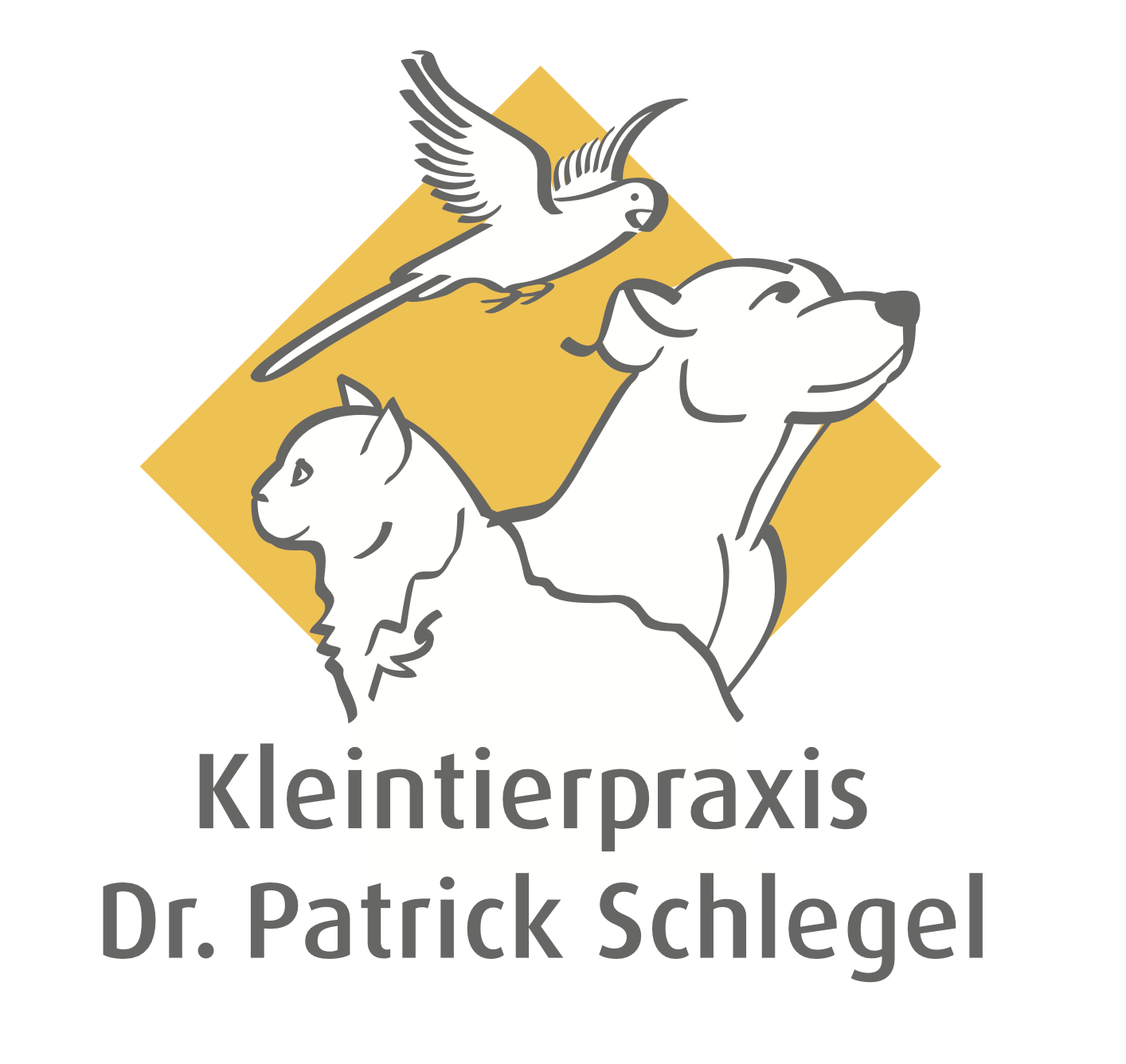 Bildschirmfoto 2026-01-22 um 10.18.48